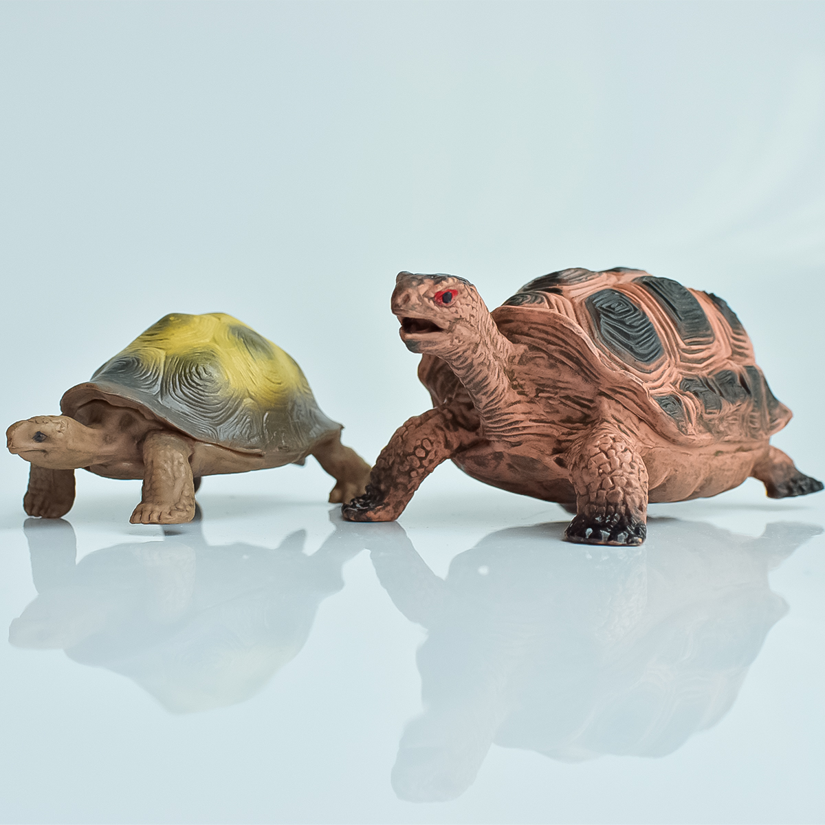 Painted Realistic Animal Turtl - Desk Setup Plants 评论和价格