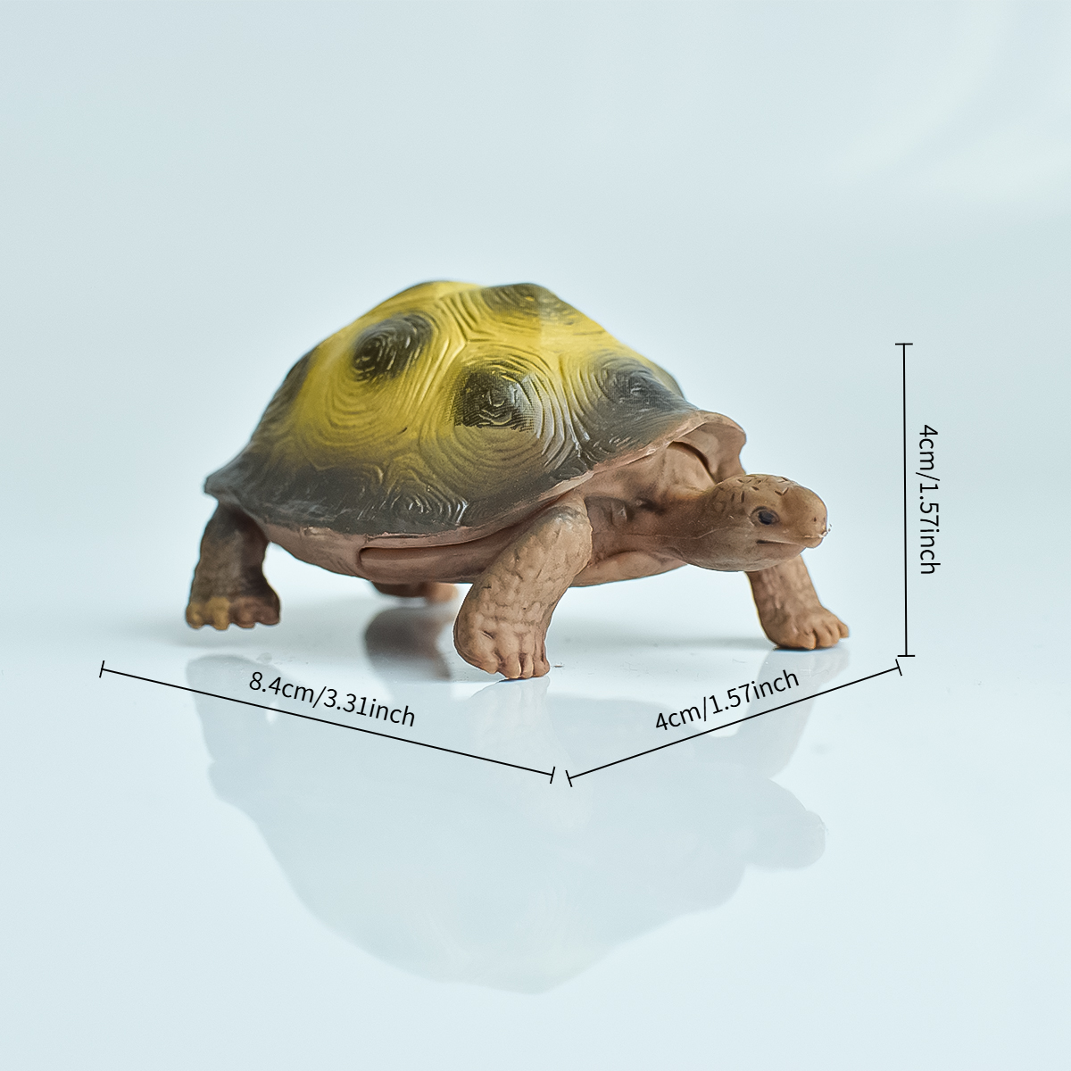 Painted Realistic Animal Turtl - Desk Setup Plants 评论和价格