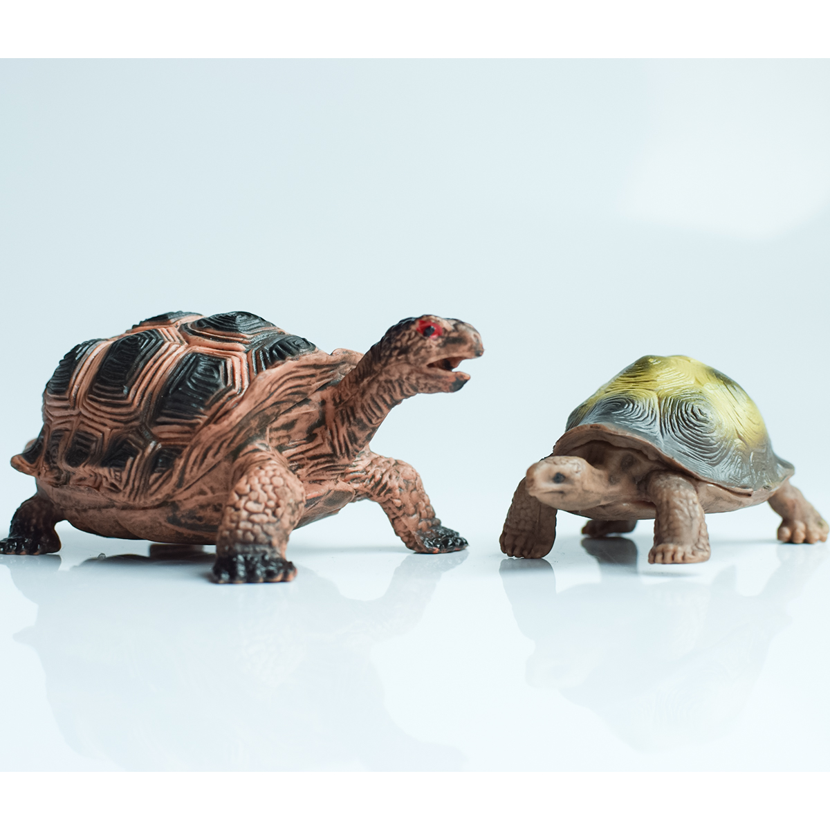 Painted Realistic Animal Turtl - Desk Setup Plants 评论和价格