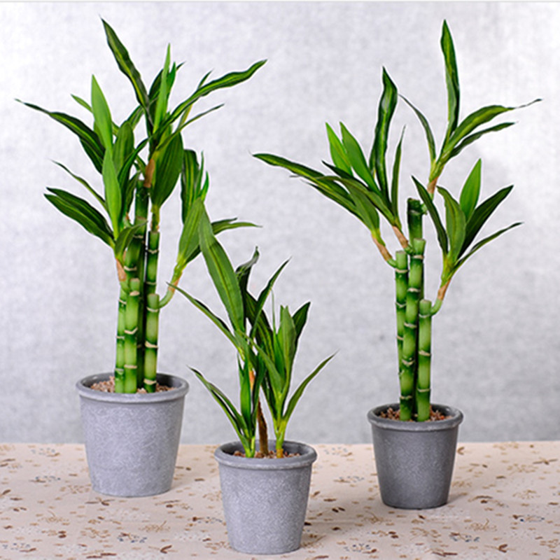 New 40cm rFtificial Lucky Bamb - Desk Setup Plants 评论和价格
