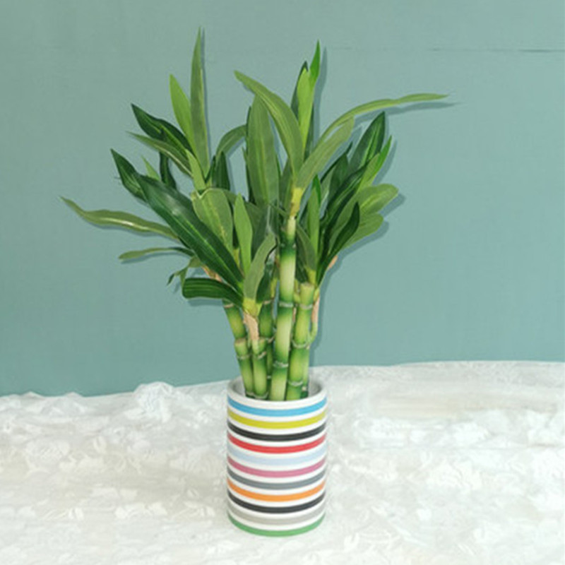 New 40cm rFtificial Lucky Bamb - Desk Setup Plants 评论和价格