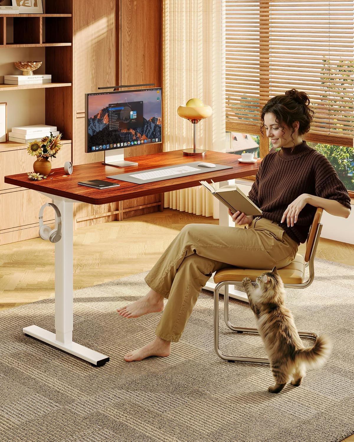 Electric Height-Adjustable Sta - Desk Setup One Monitor 评论和价格