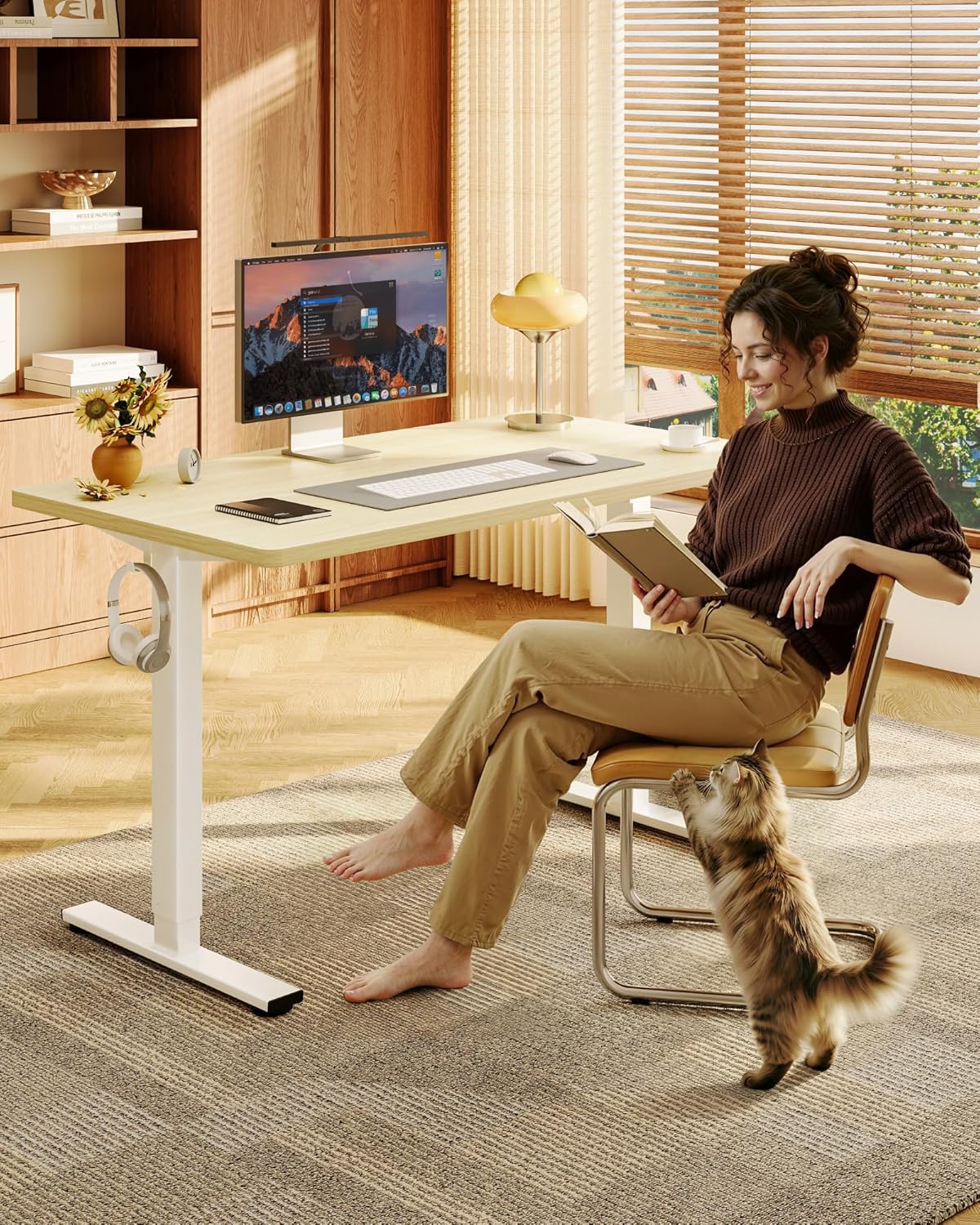Electric Height Adjustable Sta - Desk Setup One Monitor 评论和价格